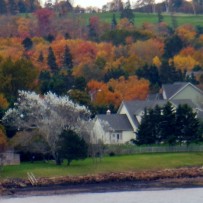 Way of Seer~18 Prince Street Charlottetown, PEI